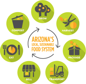 Food System Cycle